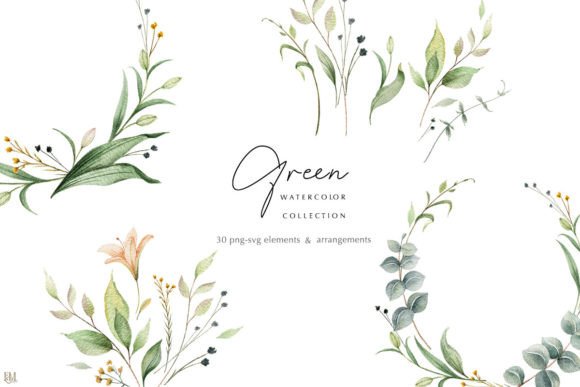 Download Watercolor Greenery Collection - Collection Collection